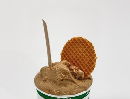 Small Ice Cream Jar